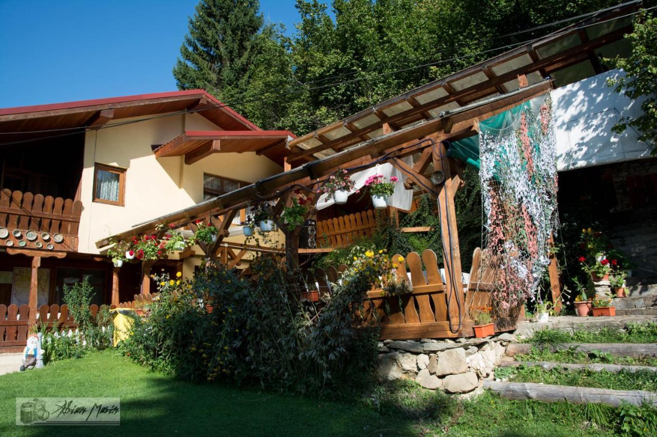 Cabana Suprema Armonie Dîmbovicioara 外观 照片